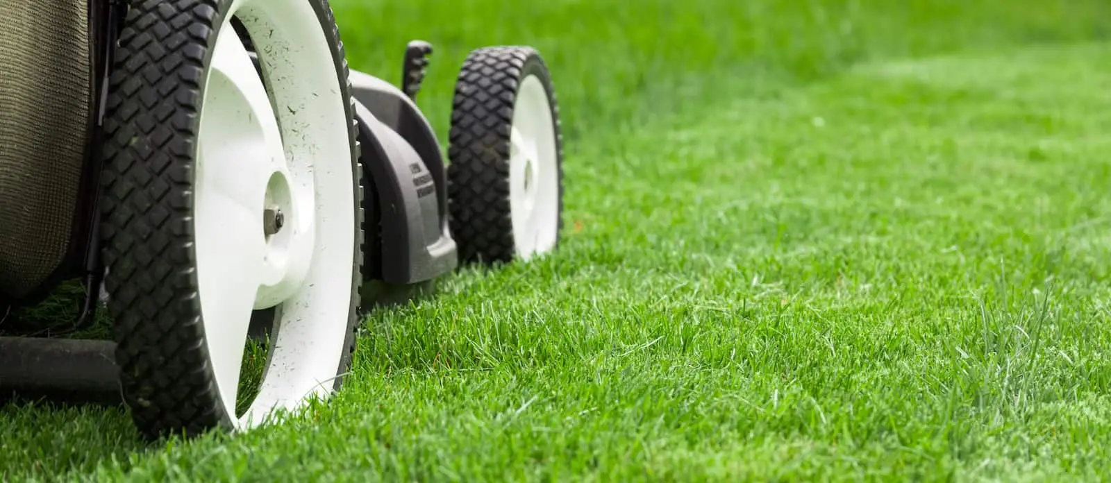 Lawn care london image