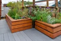 Commercial Rooftop Gardens Image