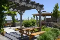 Commercial Rooftop Gardens Designs Image