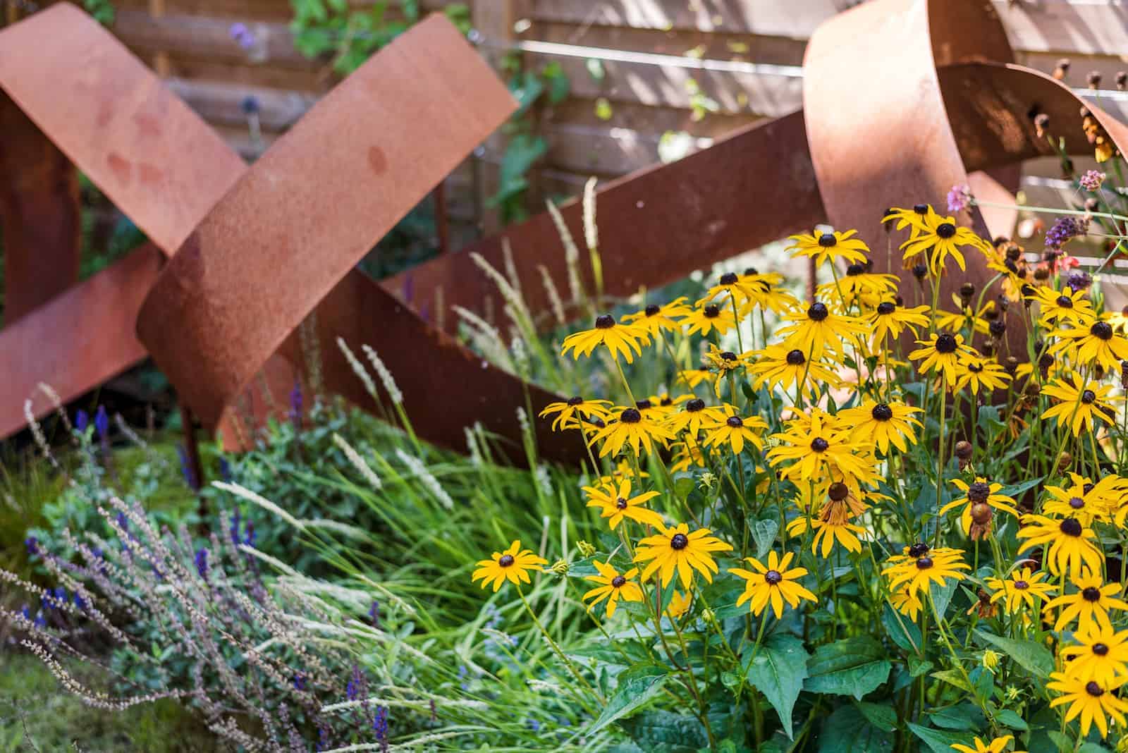 flowering plants in small garden