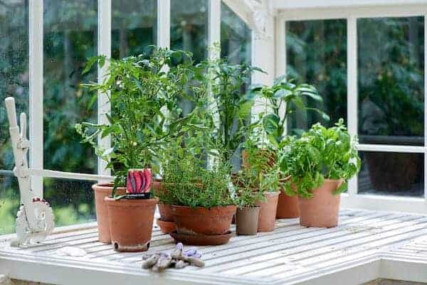 domestic gardening services north london