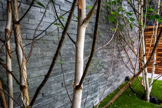 brickwork refurbishment hammersmith