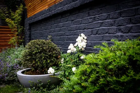 planting design hammersmith