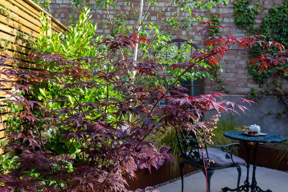 wildlife attracting plants london e8