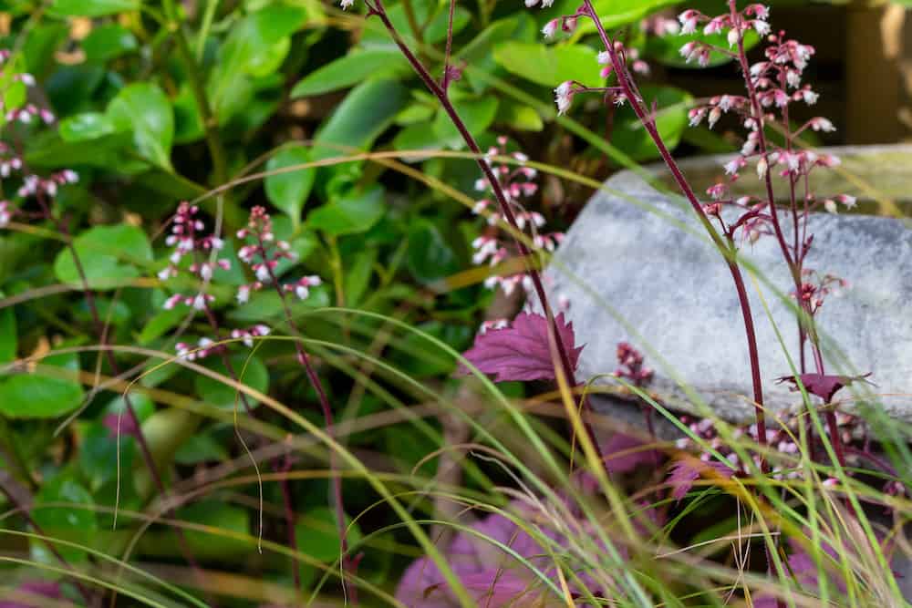 bird bath garden landscaping london e8