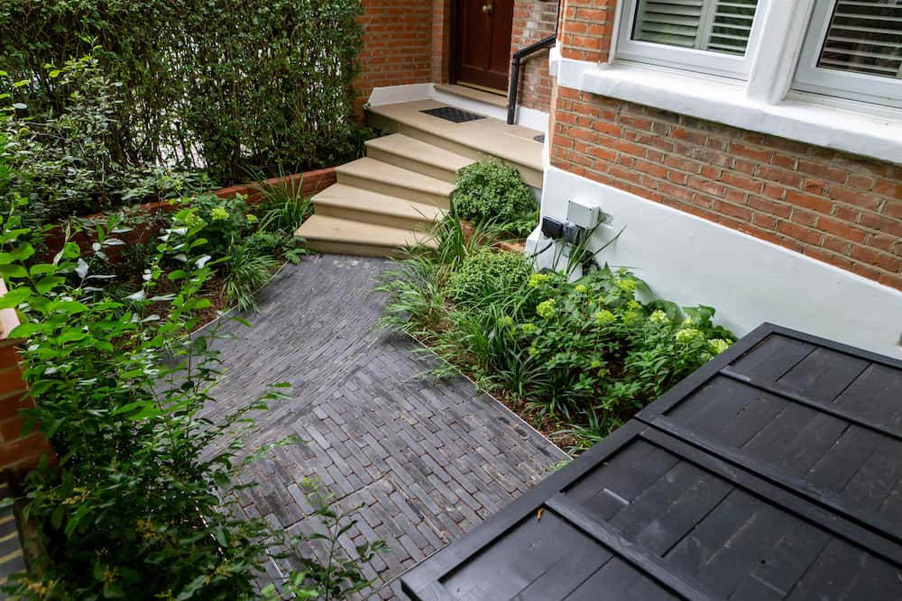 soft landscaping front garden hornsey n8