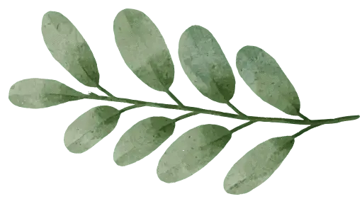 acacia-gardens-favicon-horizontal