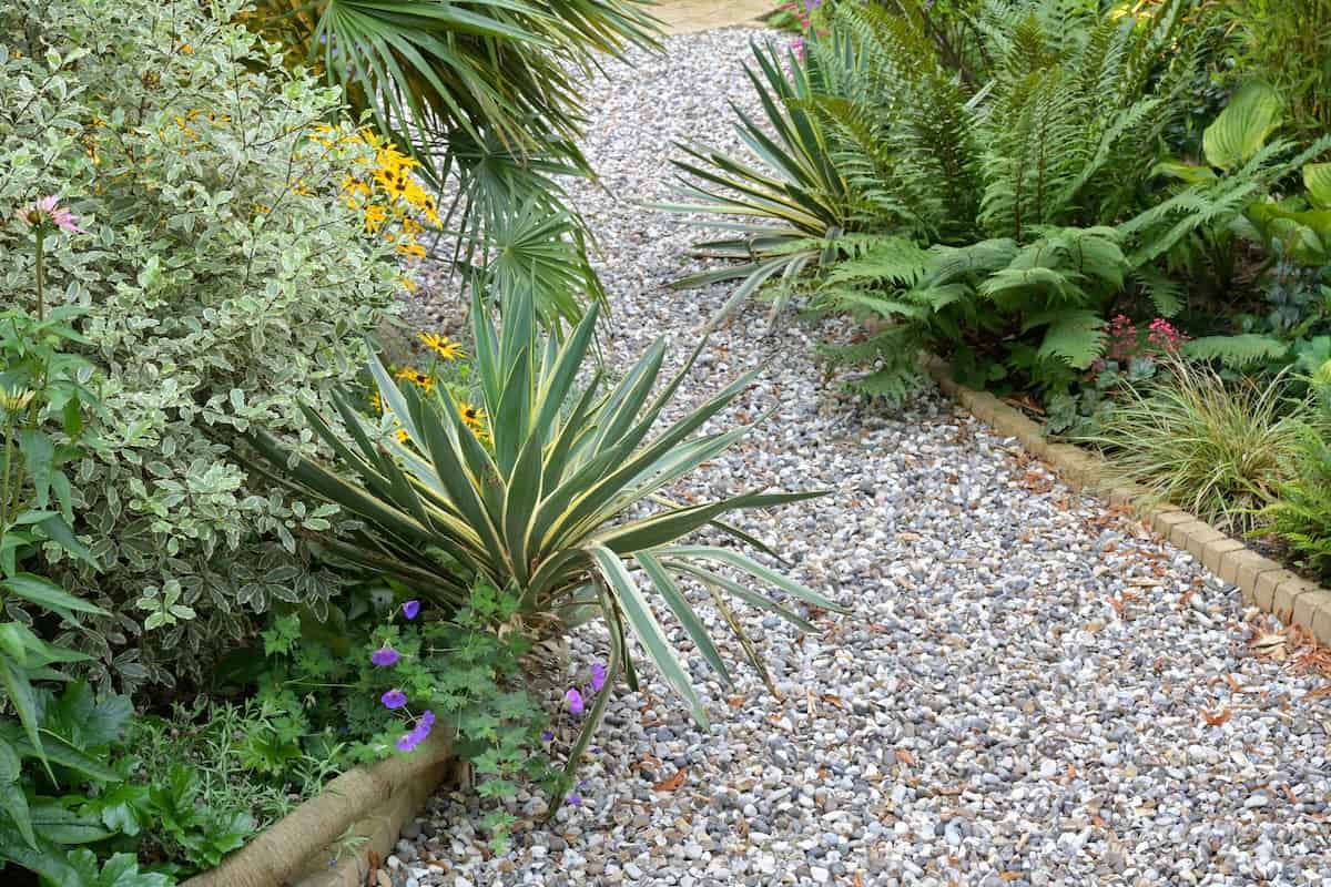 curvy garden and build alexandra palace curved path installation