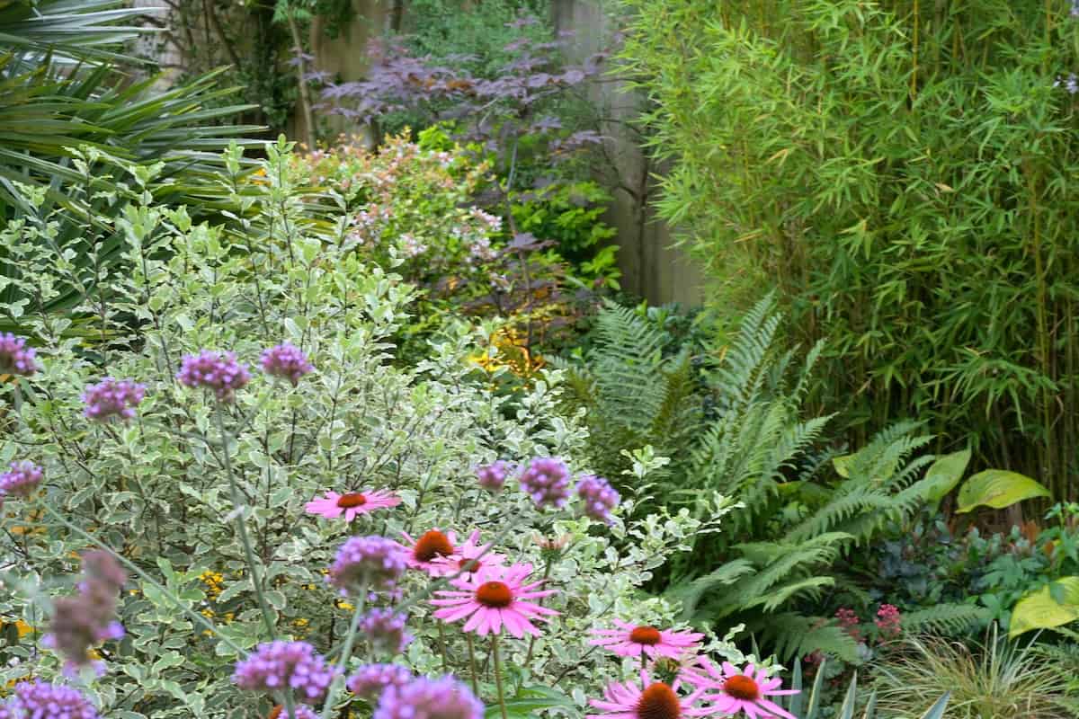 curvy garden and build alexandra palace planting plan