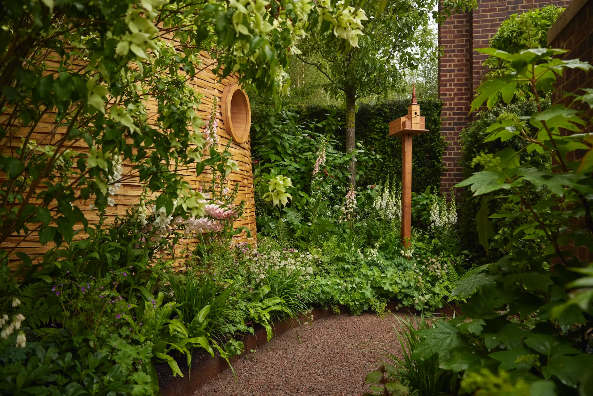 Gold Medal Win At RHS Chelsea Flower Show