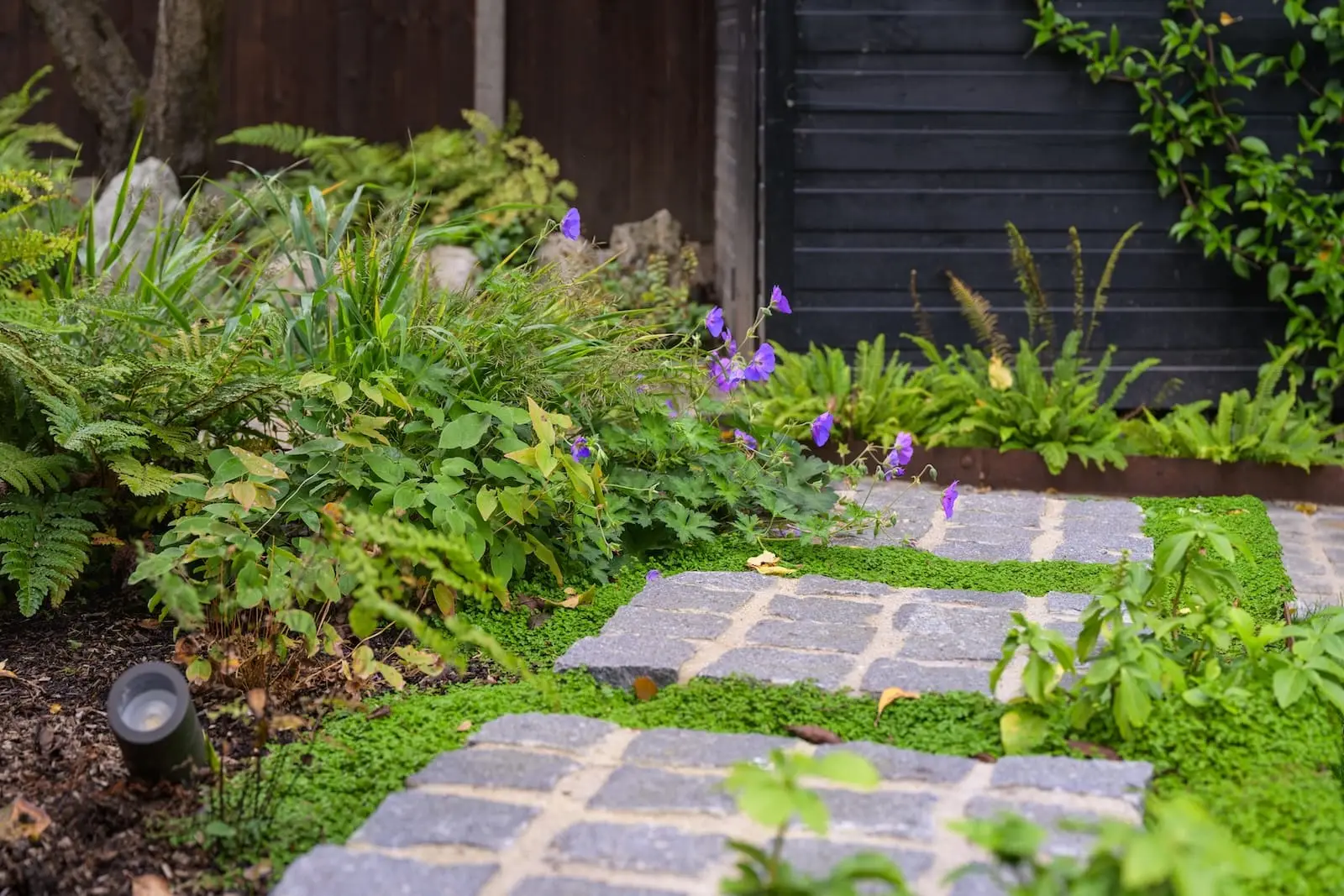 Contemporary Garden Build Whetstone London N20-Ambient Outside Lighting