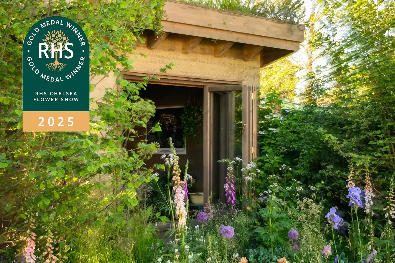 rhs-chelsea-2025-gold-garden-of-the-future-feature-image