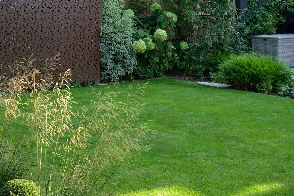 garden build muswell hill north london lawn installation